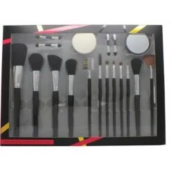Active Cosmetics Professional Cosmetics Brush Set 4 Applicatori + Spugnetta + Specchio + 12 Pennelli