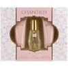 Dana Chantilly Confezione Regalo 30 Ml EDT + 75 Ml Lozione Corpo + 75 Ml Bagnoschiuma