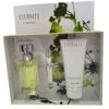 Calvin Klein Eternity Gift Set 100 Ml EDP + 200 Ml Body Lotion +10 Ml EDP Donna