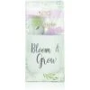 Style & Grace Spa Botanique Pamper Time Confezione Regalo 50 Ml Doccia Schiuma + 55 G Bomba Da Bagno + Vaso