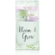 Style & Grace Spa Botanique Pamper Time Confezione Regalo 50 Ml Doccia Schiuma + 55 G Bomba Da Bagno + Vaso